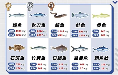 魚 排名|鮭魚只排第4名！營養師公布TOP10好魚排行榜，加碼。